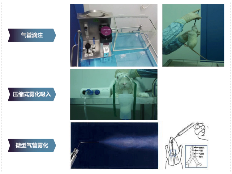 美迪西其它吸入给药方式.webp
