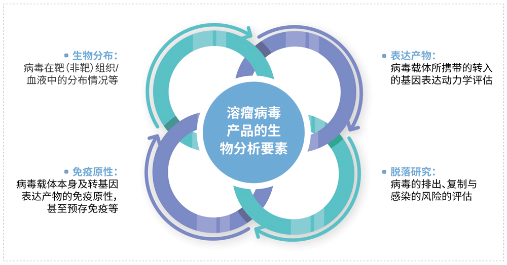 溶瘤病毒产品的生物分析要素.webp