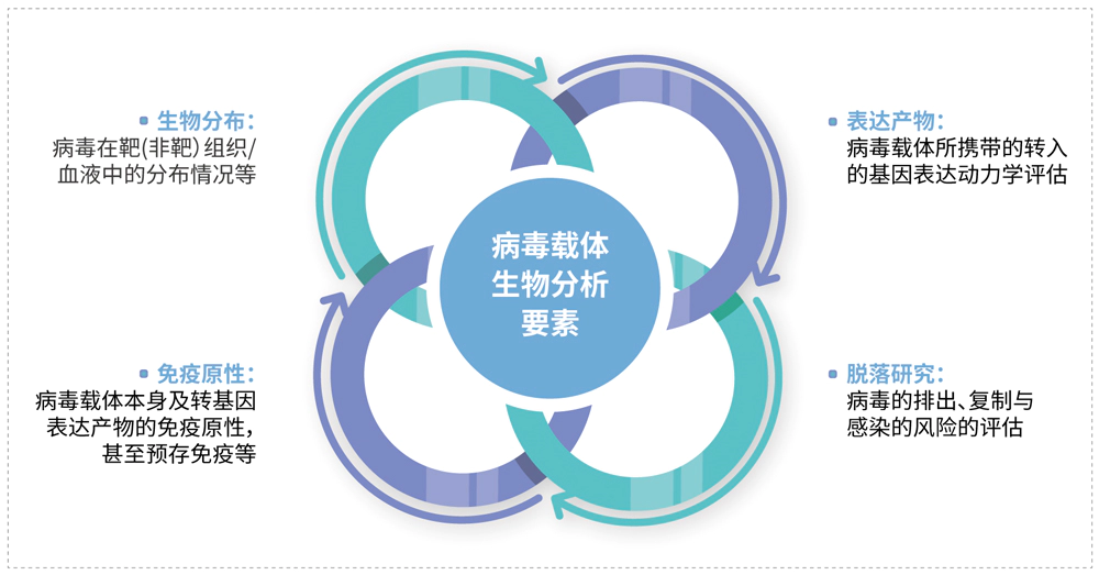 病毒载体类产品的生物分析要素.webp
