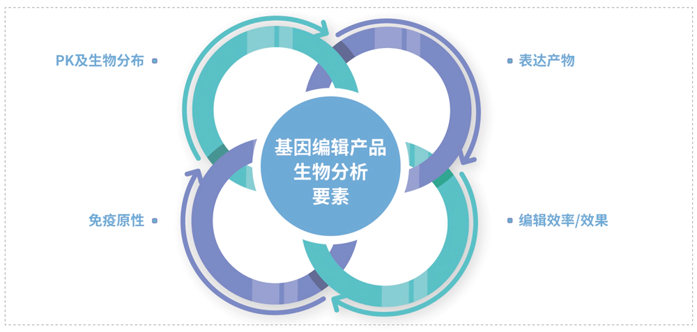 基因编辑产品的生物分析要素.webp