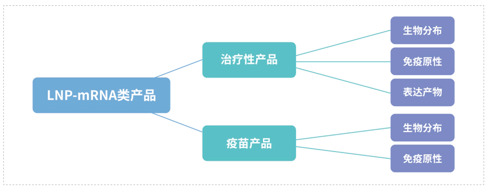 LNP-mRNA治疗类产品的生物分析要素.webp
