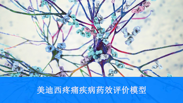 美迪西疼痛疾病药效评价模型.webp