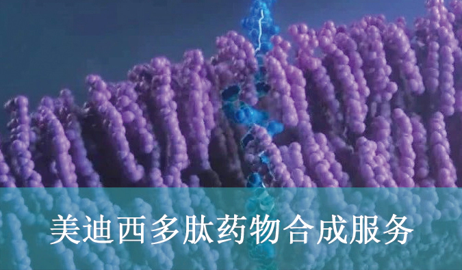美迪西多肽药物合成服务.webp