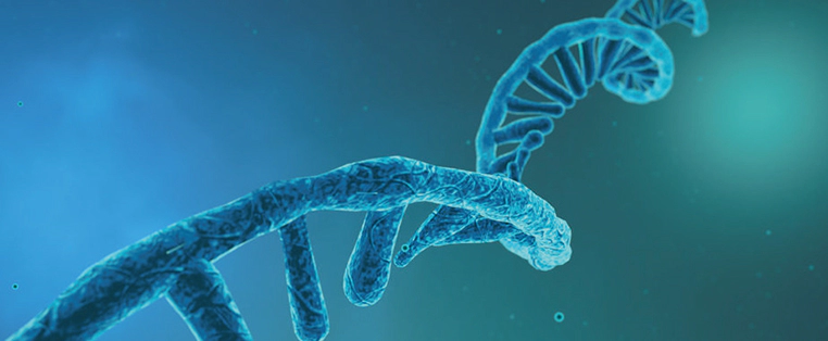 寡核苷酸药物生物分析全攻略.webp