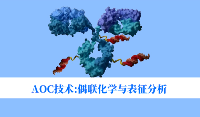 8月7日直播预告 | 抗体-寡核苷酸偶联物技术实践：偶联化学、DAR控制与表征分析