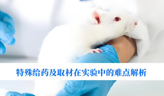 特殊给药及取材在实验中的难点解析