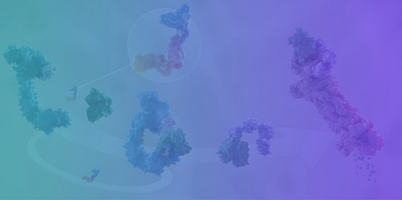 Protac药物研发.webp