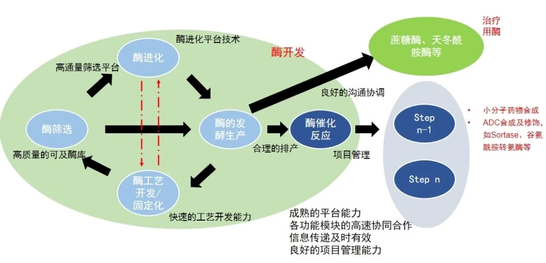 酶催化服务平台.webp