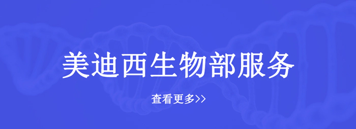 美迪西生物部服务