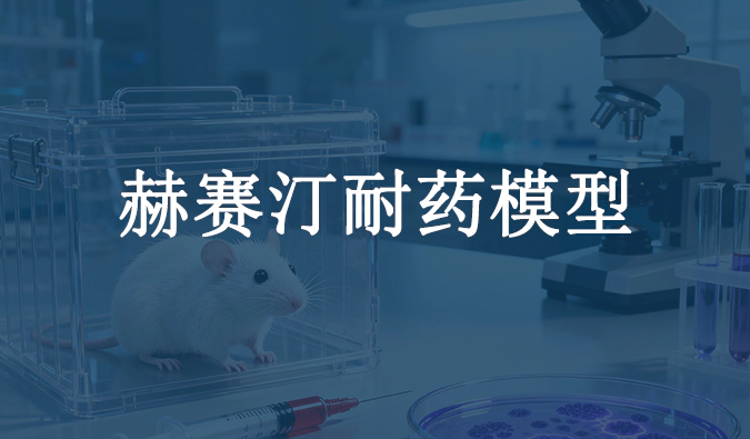赫赛汀耐药模型