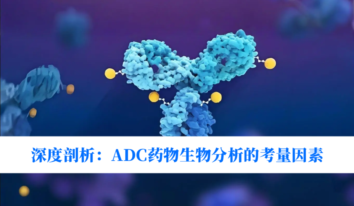 深度剖析：ADC药物生物分析的考量因素