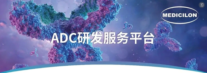ADC药物研发服务平台.webp