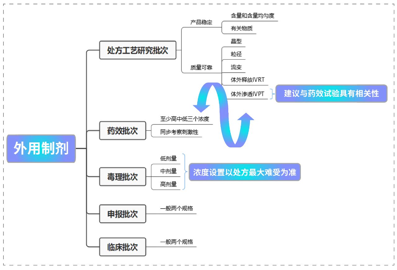 外用制剂的关键批次研究.webp