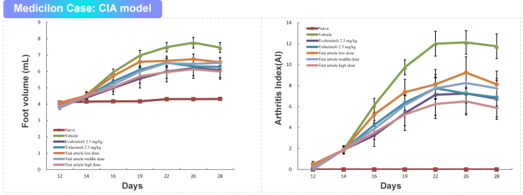 胶原诱导的关节炎.webp 胶原诱导的关节炎.webp