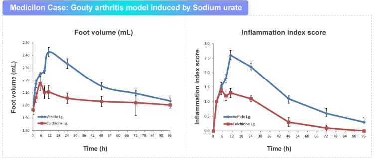 尿酸钠诱导的痛风性关节炎模型.webp 尿酸钠诱导的痛风性关节炎模型.webp