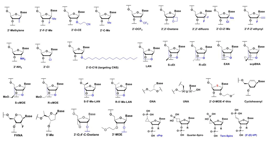 单核苷酸合成.webp 单核苷酸合成.webp