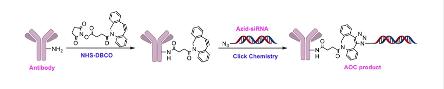 点击化学(DBCO-叠氮化物).webp 点击化学(DBCO-叠氮化物).webp