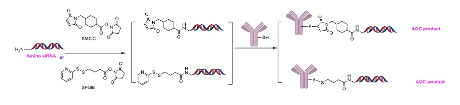 氨基寡聚抗体偶联(AOAC).webp 氨基寡聚抗体偶联(AOAC).webp