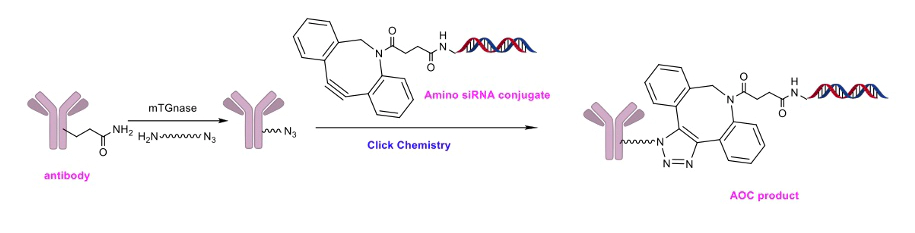 AOC-表征和-DAR-控制.webp AOC-表征和-DAR-控制.webp
