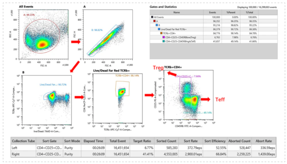 美迪西案例 Treg类细胞和Teff类细胞分选.webp