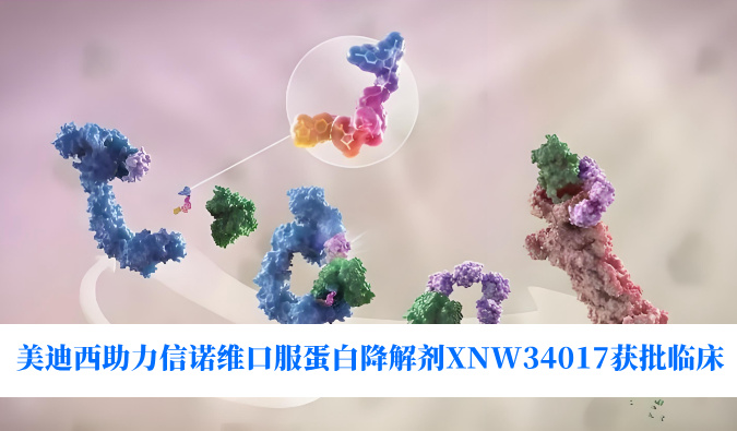 全球首创、靶向AURKA、降解MYC！美迪西助力合作伙伴信诺维口服蛋白降解剂XNW34017获批临床