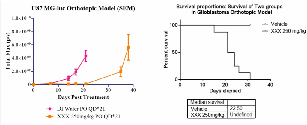 胶质母细胞瘤原位模型中的小分子疗效.webp 胶质母细胞瘤原位模型中的小分子疗效.webp