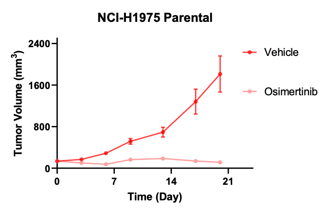 NCI-H1975奥希替尼耐药NSCLC模型-体内药效筛选-1.png NCI-H1975奥希替尼耐药NSCLC模型-体内药效筛选-1.png