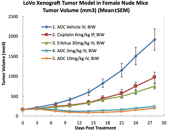 ADC生物标志物分析和肿瘤反应评估.webp ADC生物标志物分析和肿瘤反应评估.webp