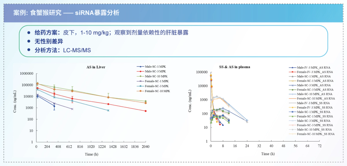 案例 食蟹猴研究 siRNA暴露分析.webp 案例 食蟹猴研究 siRNA暴露分析.webp
