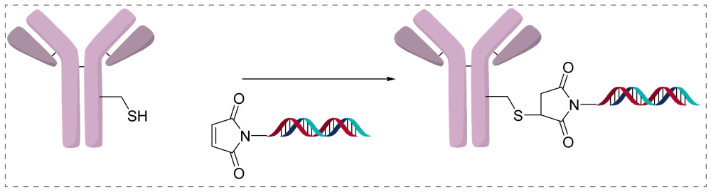 直接连接(直接偶联).webp 直接连接(直接偶联).webp
