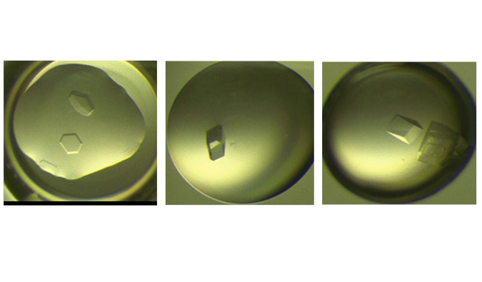 美迪西生物学服务：赋能创新药物研发