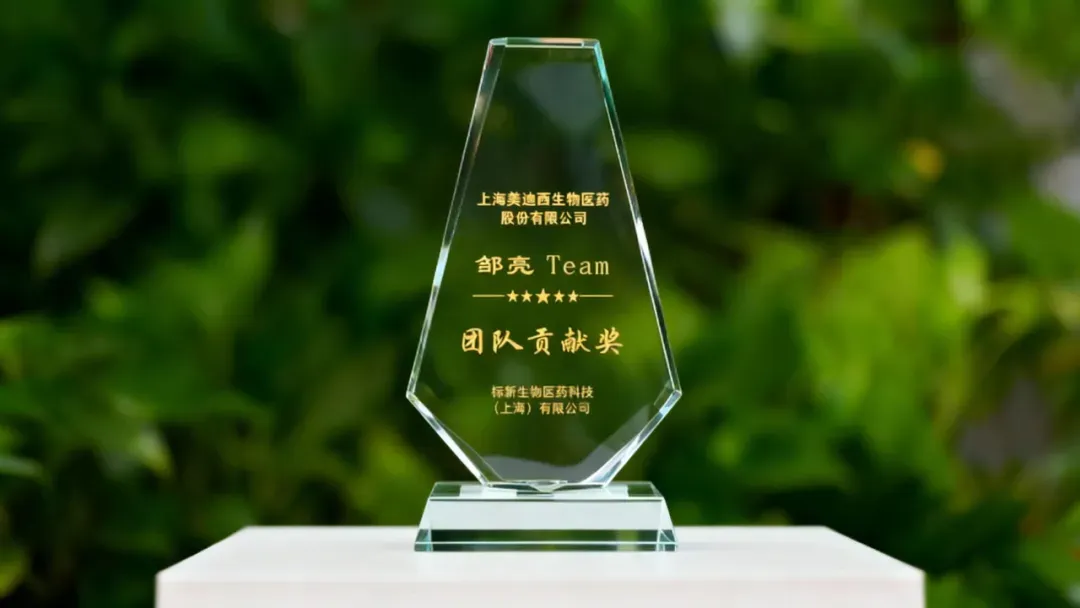 团队贡献奖杯.webp