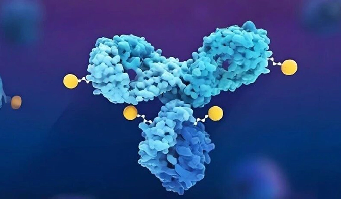 美迪西助力合作伙伴翰思艾泰全球首创OX40靶向ADC药物HX111获批临床