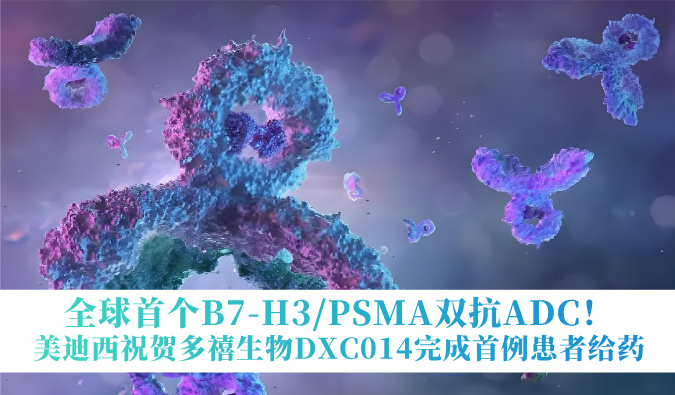 全球首个B7-H3/PSMA双抗ADC！美迪西祝贺多禧生物DXC014完成首例患者给药