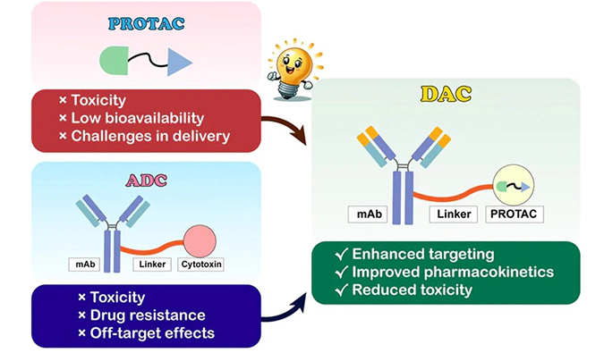 ADC未平，PROTAC已至，所有人看向了DAC