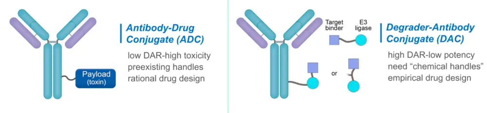 Description of ADC and DAC.webp
