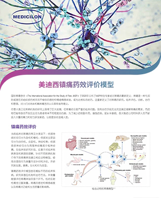 美迪西镇痛药效评价模型