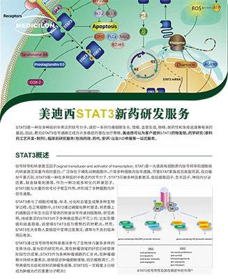 美迪西STAT3新药研发服务