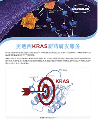 美迪西KRAS新药研发平台