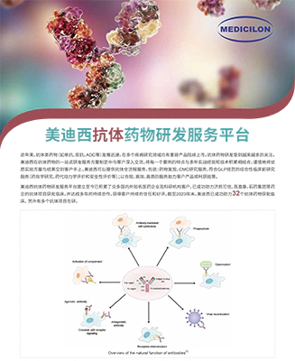美迪西抗体药物研发服务平台