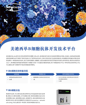美迪西单B细胞抗体制备服务平台