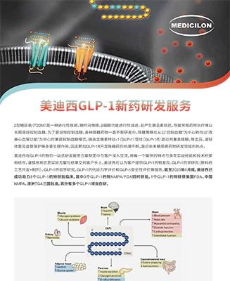 美迪西GLP-1新药研发服务平台