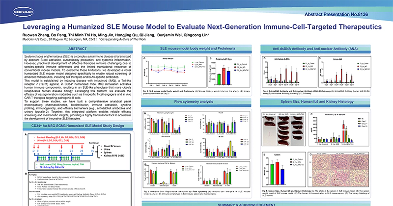 Leveraging a Humanized SLE Mouse Model to Evaluate Next-Generation Immune-Cell-Targeted Therapeutics
