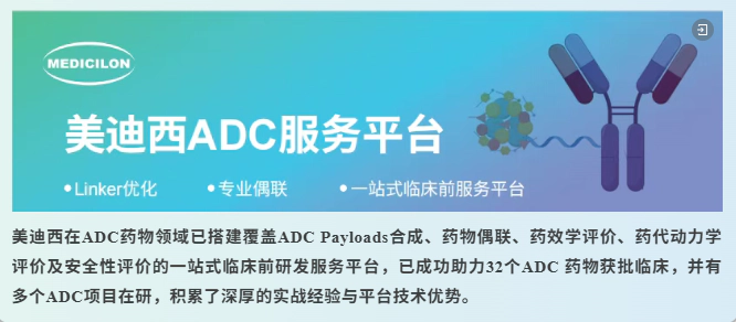 美迪西ADC服务平台.webp