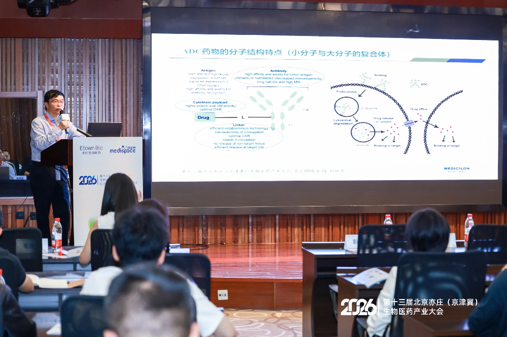 ADC药物的分子结构特点(小分子与大分子的复合体).webp ADC药物的分子结构特点(小分子与大分子的复合体).webp