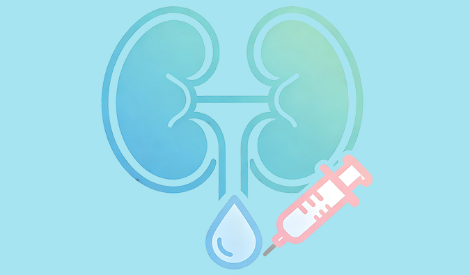 美迪西糖尿病肾病模型