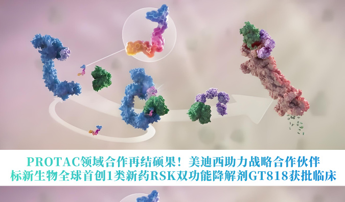 PROTAC领域合作再结硕果！美迪西助力战略合作伙伴标新生物全球首创1类新药RSK双功能降解剂GT818获批临床