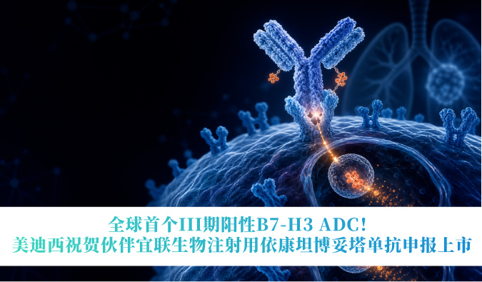 全球首个III期阳性B7-H3 ADC！美迪西祝贺伙伴宜联生物注射用依康坦博妥塔单抗申报上市