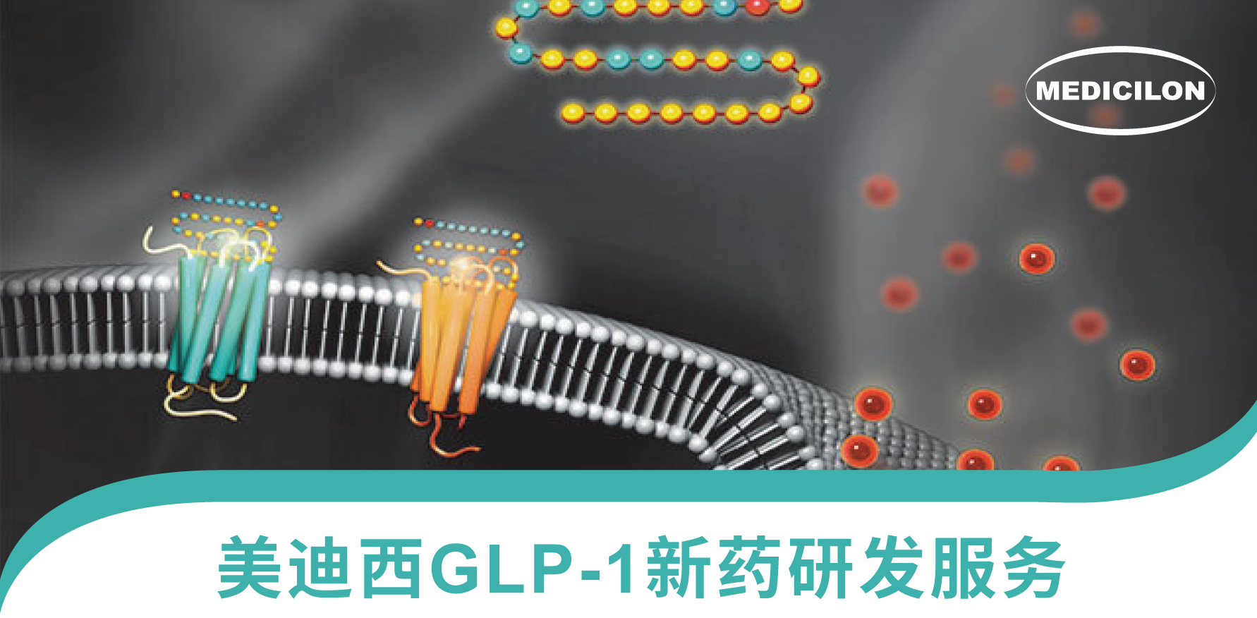 微信图片_20260729214146_96_84.png 微信图片_20260729214146_96_84.png