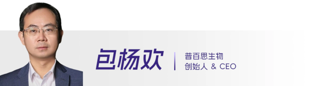 4 包杨欢.webp